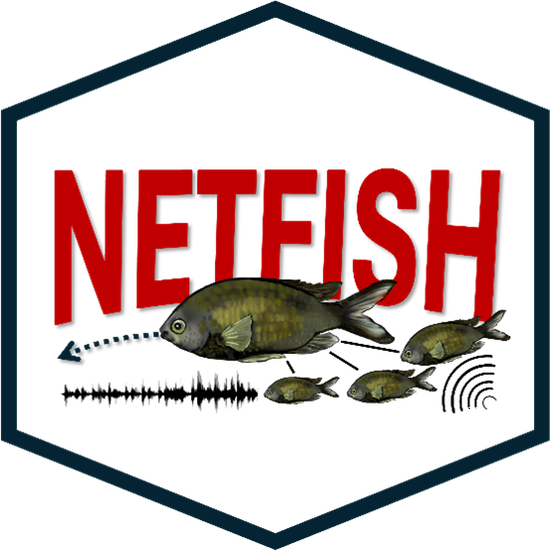 NETFISH (FR)