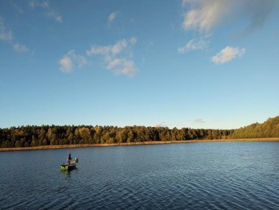 Anglers as Predators (DE)